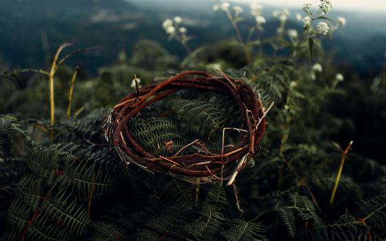 A crown made of sticks and brush rests on top of ferns in an outside scene. (Unsplash/Samuel Lopes)