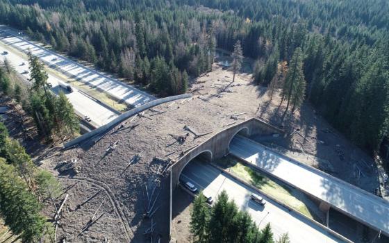 A land bridge crossing for wildlife over Interstate 90 is seen near Snoqualmie Pass, Wash., Oct. 30, 2019. (OSV News photo/Washington State Department of Transportation/Handout via Reuters)